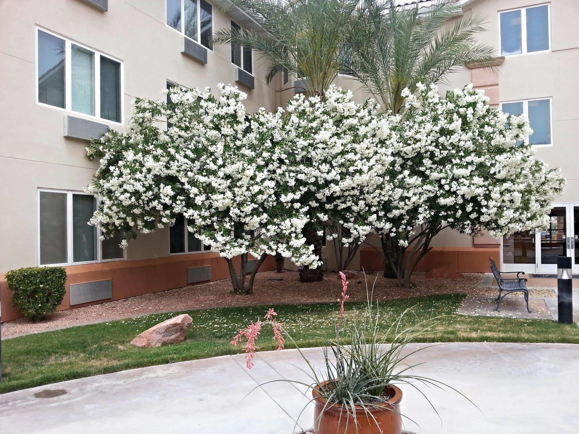 Mojave Edge Hotel Мъскийт Екстериор снимка